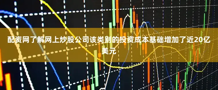 配资网了解网上炒股公司该类别的投资成本基础增加了近20亿美元